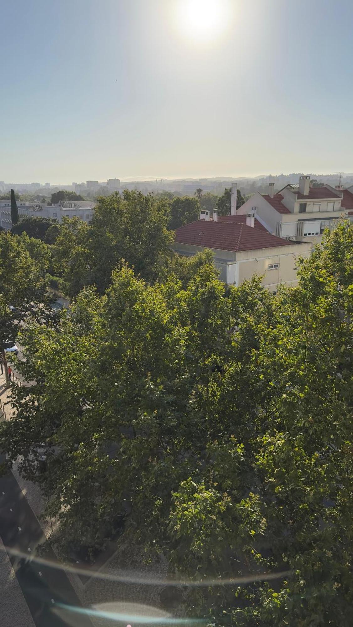 Room Alvalade Lisboa Εξωτερικό φωτογραφία