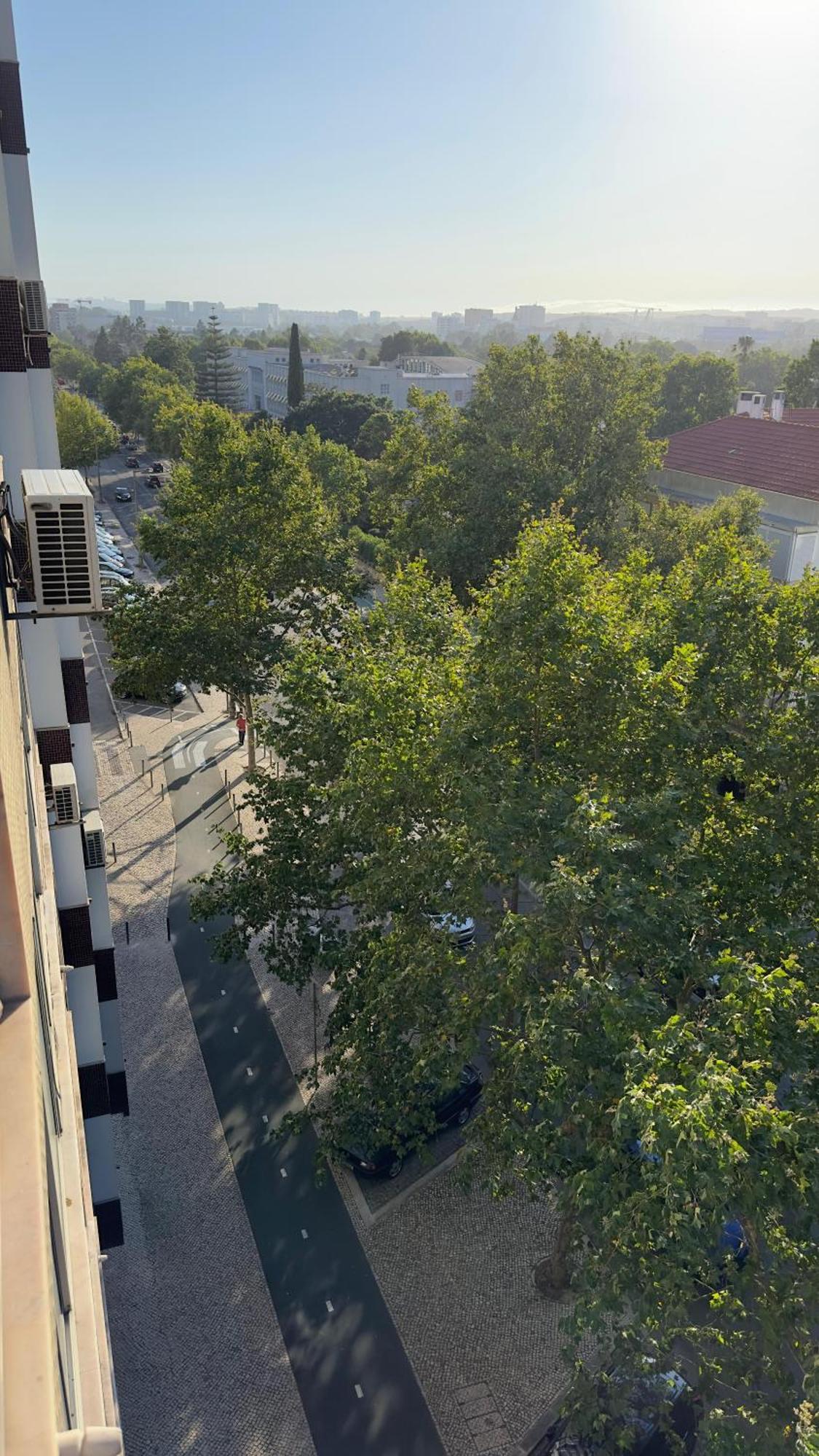 Room Alvalade Lisboa Εξωτερικό φωτογραφία